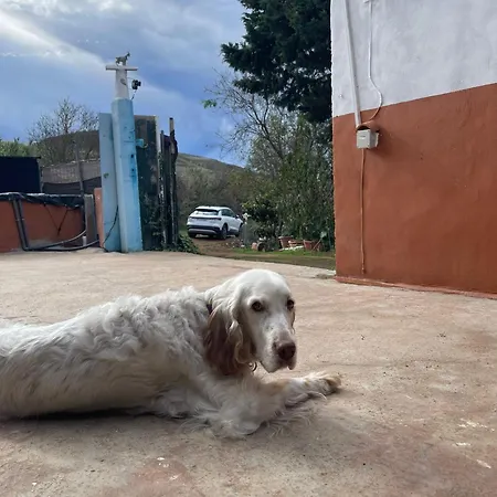 El Lomo